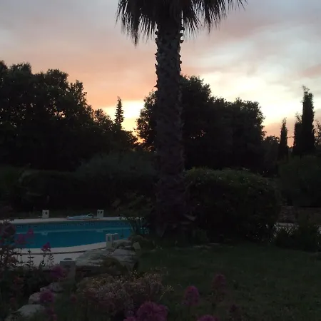 Bed & Breakfast A L'ombre Du Palmier Aubais