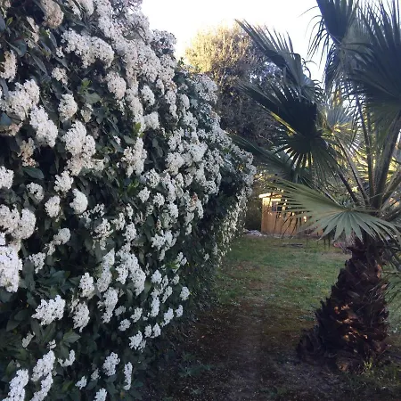 Bed & Breakfast A L'ombre Du Palmier Aubais